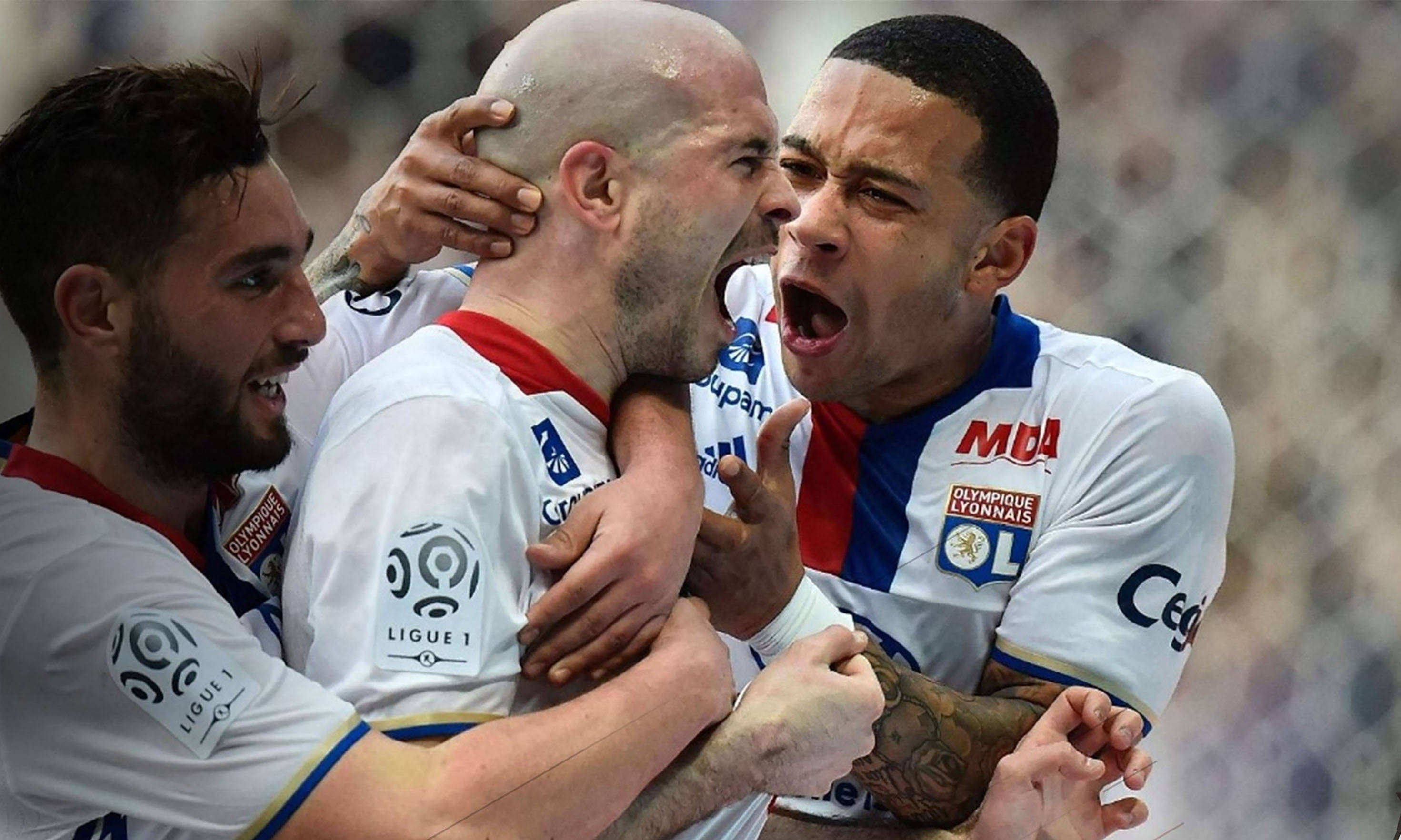 熊竞楠李胜珠完整版